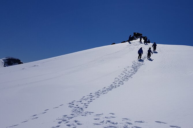 Snowmobile tour on Vatnajökull - What the guide adds to the ride