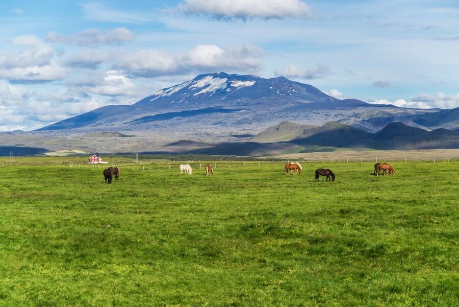 South Coast Classic: Full-Day Tour from Reykjavik - Key points to know before booking