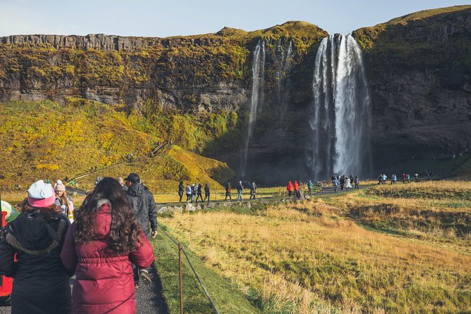South Coast Day Tour Black Sand Beach & Waterfalls from Reykjavik - Reynisfjara, black sand, basalt, and dangerous waves