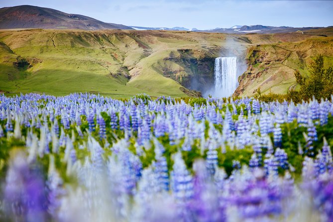 South Coast Iceland from Reykjavik with Guide & Touchscreen Audio - The long drive is part of the bargain