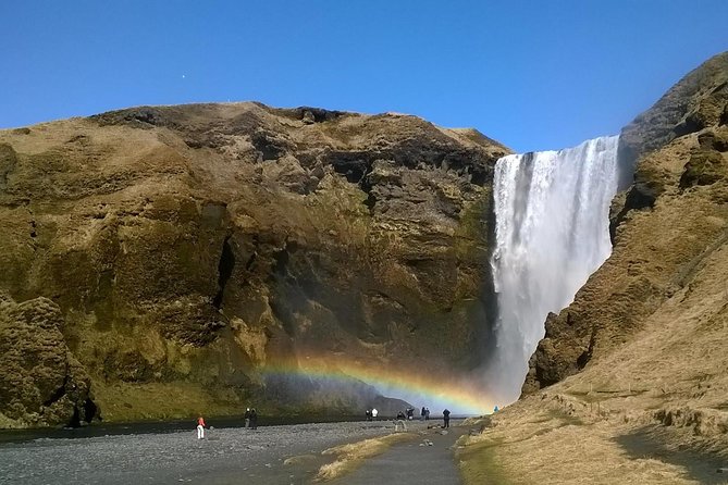 South Coast Small-Group Tour from Reykjavík - Lunch, comfort, and the cost of the day
