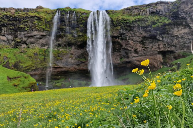 South Iceland, Glacier and Black Sand Beach Small Group Tour - Why this South Coast route works for a first visit
