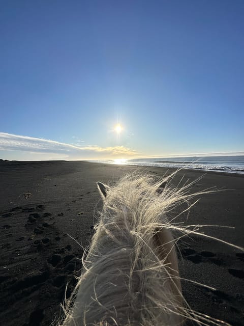 southern Iceland: Black beach riding tour - Key points to know before you book