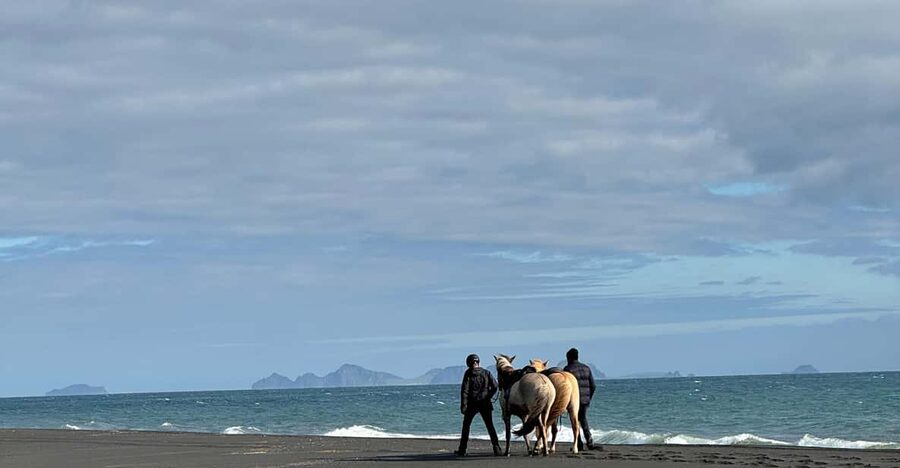 southern Iceland: Black beach riding tour - Who should book this ride