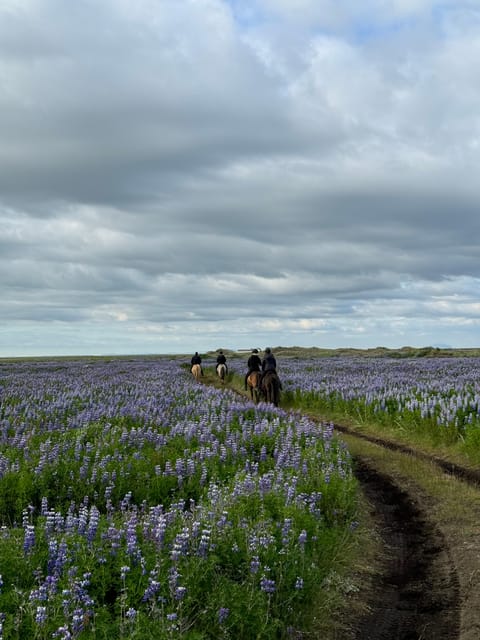 southern Iceland: Black beach riding tour - Why this black beach ride feels different