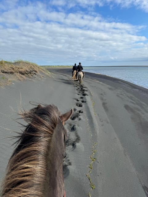 southern Iceland: Black beach riding tour - The two-hour route along the volcanic shore