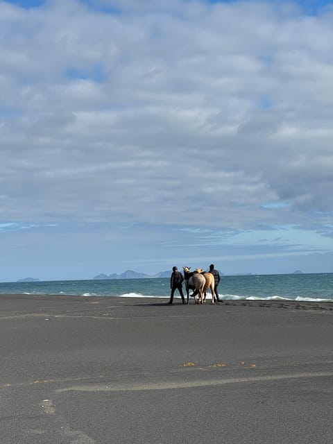 southern Iceland: Black beach riding tour - Feeling the tölt on an Icelandic horse