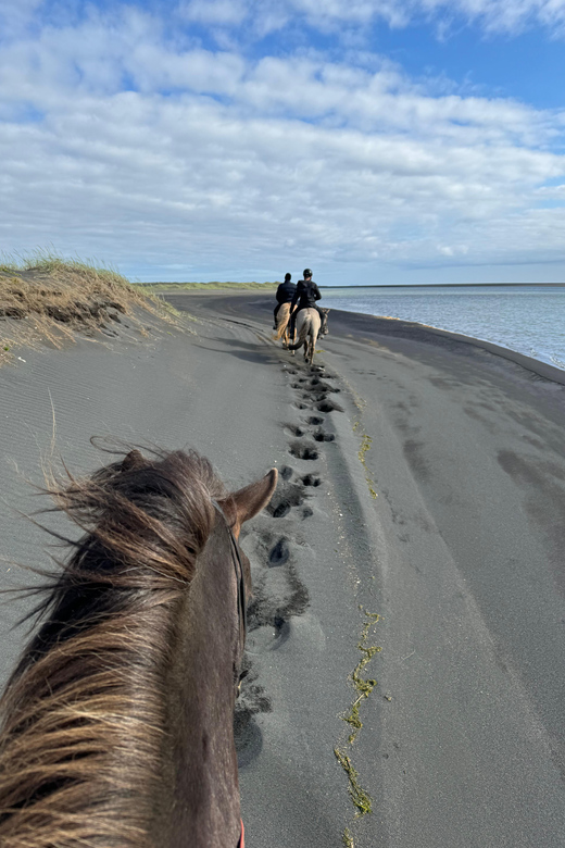 southern Iceland: Black beach riding tour - What the guide support adds to the outing