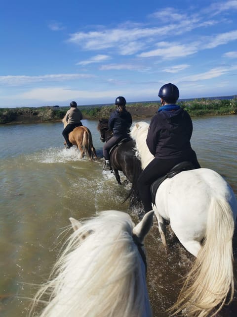 southern Iceland: Black beach riding tour - The $194 price and what you receive