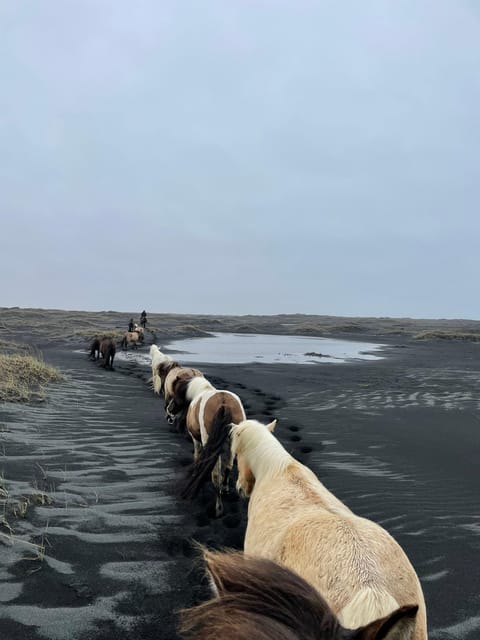 southern Iceland: Black beach riding tour - Driving to the farm between Hella and Hvolsvöllur