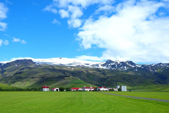 Spectacular South Coast Iceland Private Tour from Reykjavik - Dyrhólaey brings cliffs, sea, and birdlife