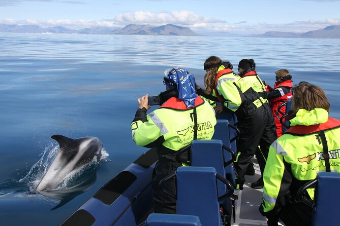 Speedboat Whale Watching Small-Group Tour in Reykjavik - Leaving Geirsgata and entering Faxaflói Bay