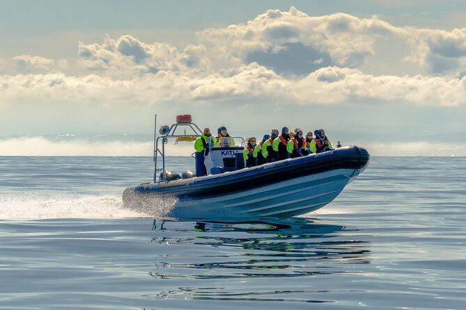 Speedboat Whale Watching Small-Group Tour in Reykjavik - Sun Voyager from the water