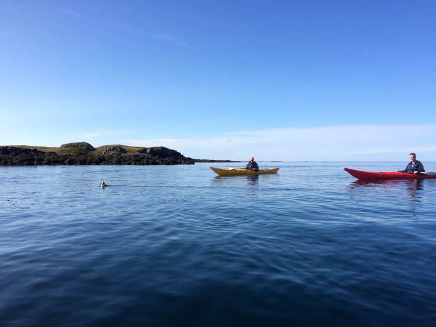 Stykkishólmur: 2-Hour Sea Kayak Tour - Key details before you paddle