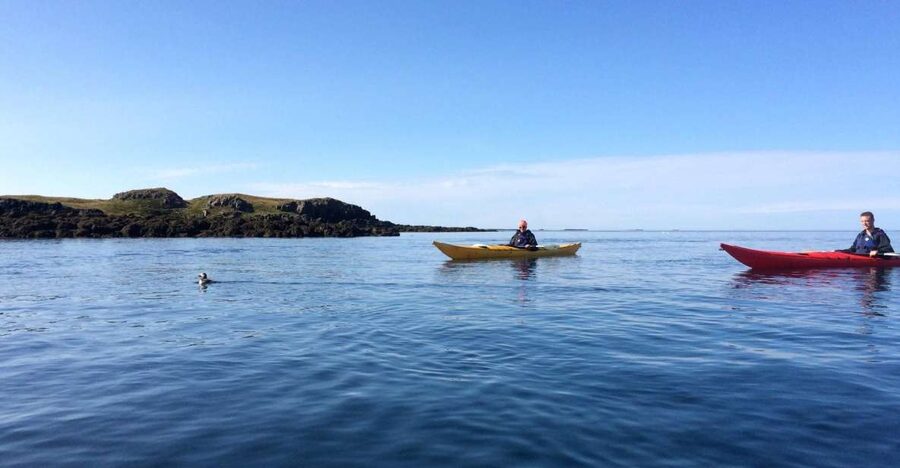 Stykkishólmur: 2-Hour Sea Kayak Tour - Starting from Stykkishólmur’s harbor