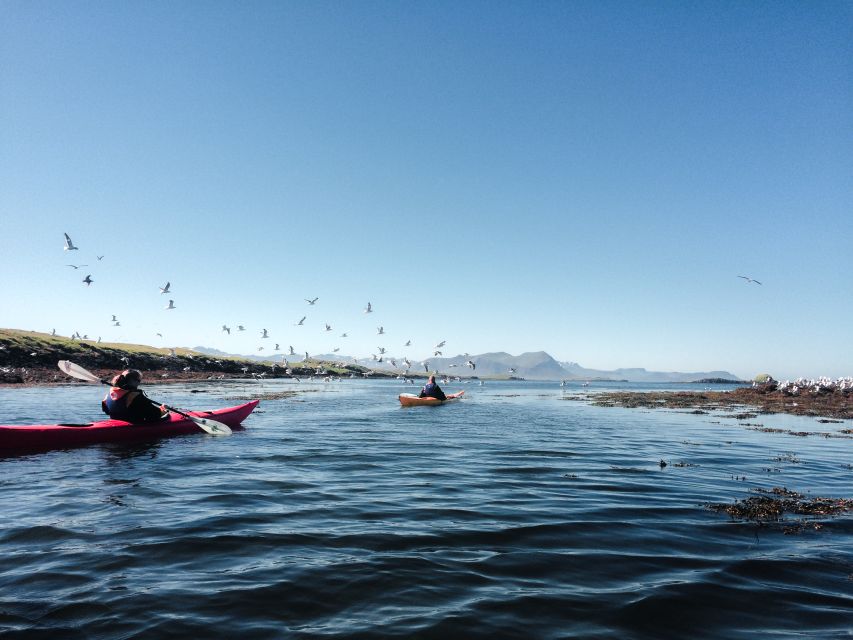 Stykkishólmur: 2-Hour Sea Kayak Tour - Shipwrecks in Breiðafjörður Bay