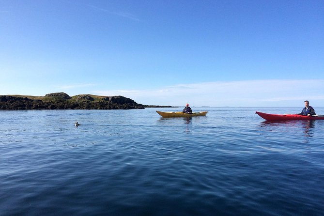 Stykkisholmur Sea kayak Day tour - Key points to know before you book