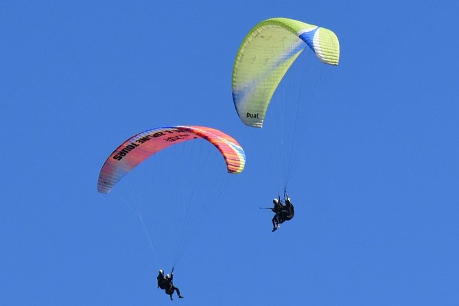 Tandem Paragliding Flights from Vik - Photos, video, and the value of the $283.60 price