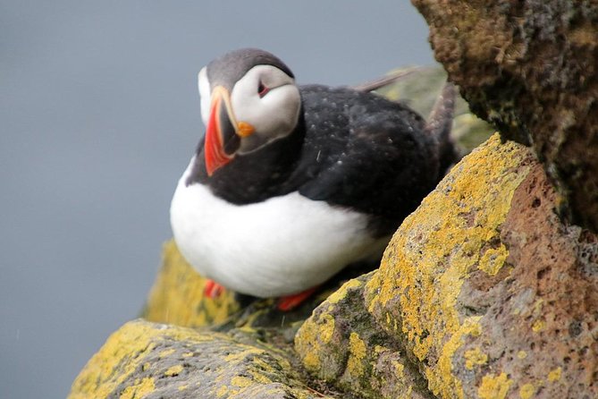 The Great Round Tour: Around Iceland in 13 Days - Days 1 to 4: From Reykjavík to ice and black sand