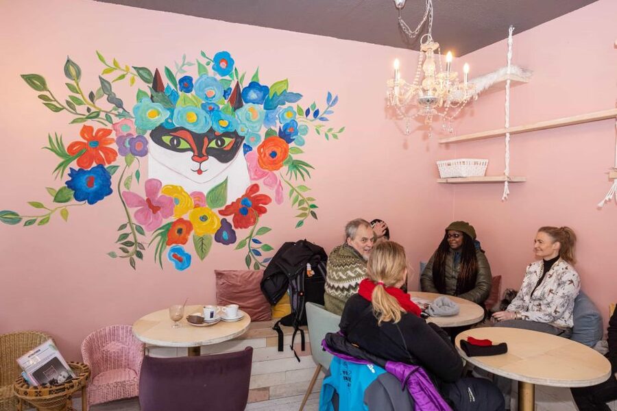 The Private Reykjavik CatWalk - Why this cat-themed walk works in Reykjavik