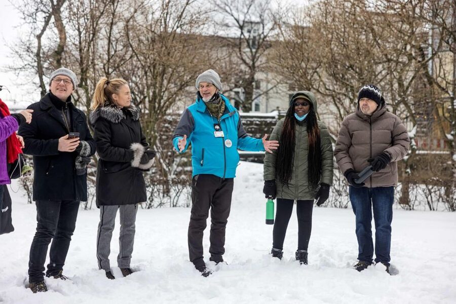 The Private Reykjavik CatWalk - Austurstræti and the search for Reykjavik’s famous cats