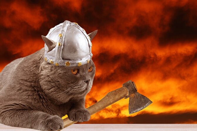 The Reykjavik Cat Walking Tour - Ingólfstorg and the cats of Iceland