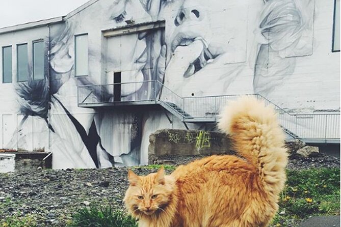 The Reykjavik Cat Walking Tour - Hallgrímskirkja and the route toward local art