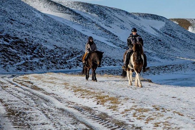 The Viking Horse Riding Experience in North Iceland - Five things to know before you saddle up