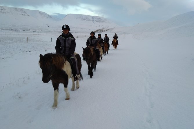 The Viking Horse Riding Experience in North Iceland - Guides who make the ride easier