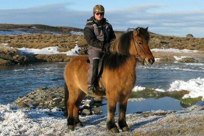 The Viking Horse Riding Experience in North Iceland - Is $123.75 a fair price?