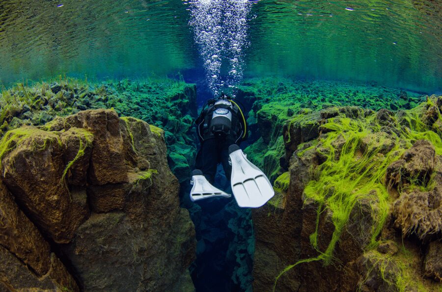 Thingvellir: Silfra Fissure Diving with Optional Pickup - Should you book Silfra?