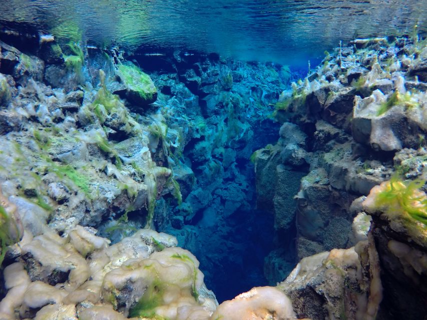 Thingvellir: Silfra Freedive Adevnture with a Guide - Who will get the most from this experience