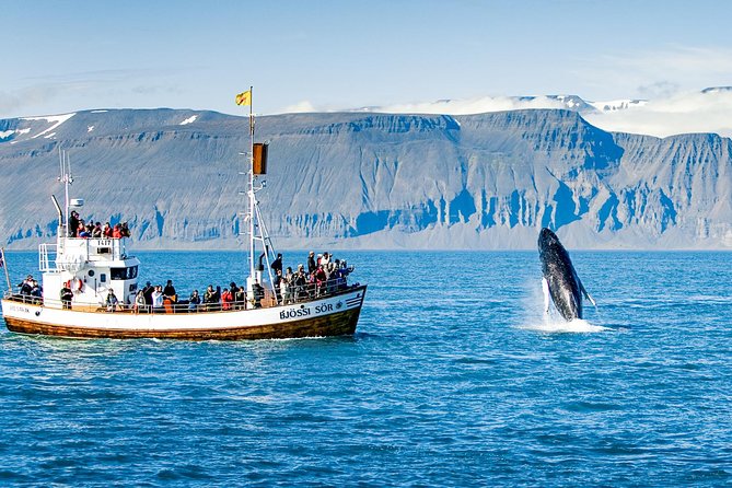 Traditional Oak Ship Whale Watching Tour From Husavik - The small comforts at the end