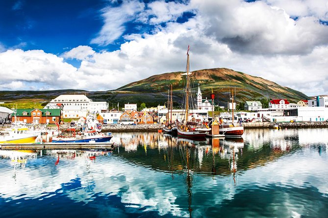 Traditional Oak Ship Whale Watching Tour From Husavik - Weather cancellations and the need for flexibility