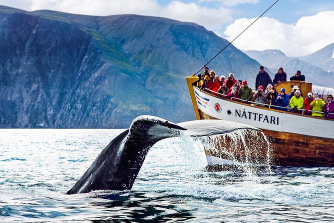 Traditional Oak Ship Whale Watching Tour From Husavik - Why the traditional oak ship changes the mood