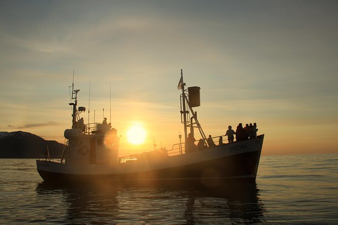Traditional Whale Watching from Húsavík by Local Family Company - Getting there from Akureyri or Húsavík