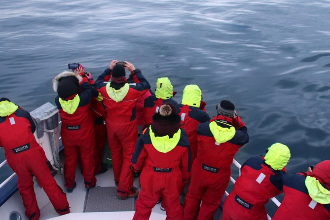 Two-In-One: Whale & Puffin Watching Tours from Reykjavik - Comfort on the larger boat
