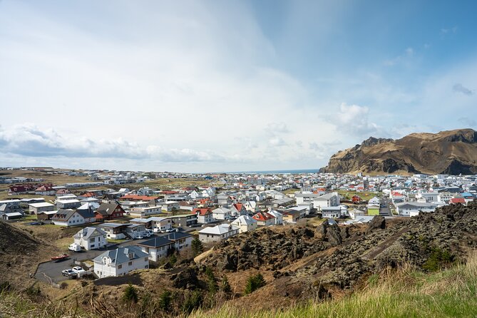 Vestmannaeyjar, Puffins & Volcanoes Small Group Day Tour - Key points to know before you book