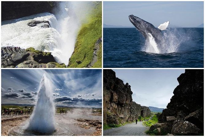 Whale Watching and Golden Circle Tour from Reykjavik - What the $192 price really buys you