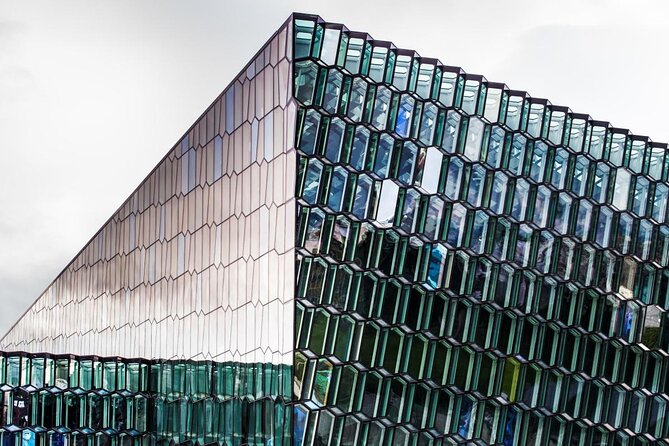 Whale Watching and Marine Life Tour in Reykjavik - Key Points Before You Book