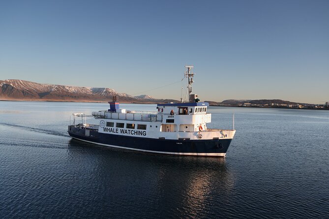 Whale Watching and Marine Life Tour in Reykjavik - From Old Harbour House to Faxafloi Bay