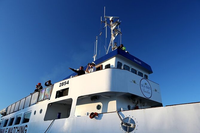 Whale Watching and Marine Life Tour in Reykjavik - Comfort, Weather, and the Long Ride