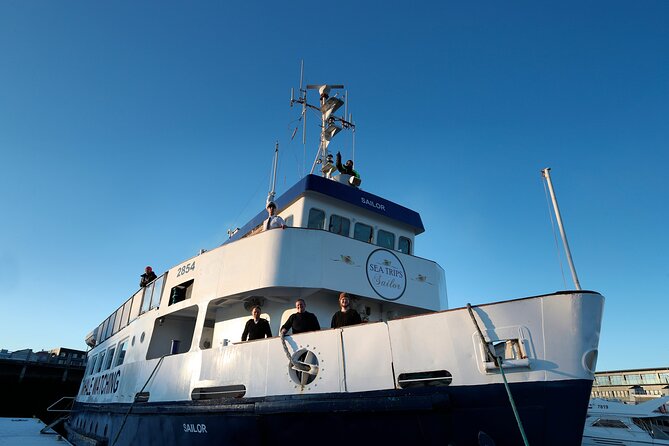 Whale Watching and Marine Life Tour in Reykjavik - What You See Across Three Hours