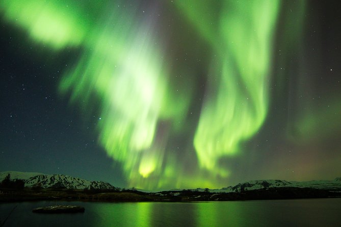Whale Watching and Northern Lights Half-Day Combo Tour - Choosing your place on the boat
