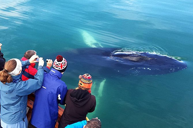 Whale Watching and Sea Angling Tour - Who will enjoy this trip most?