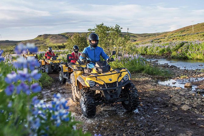 Whale Watching & ATV Adventure from Reykjavik - Watching Faxaflói Bay for whales and dolphins