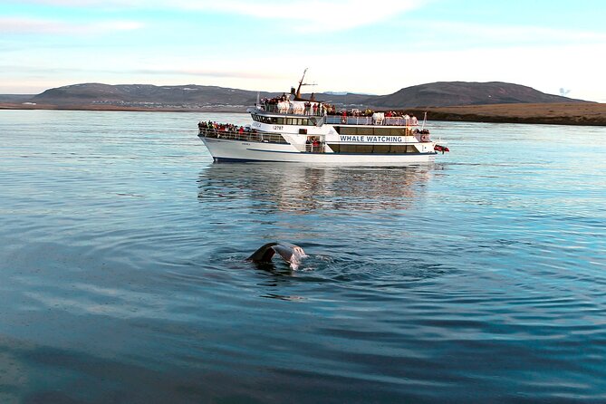 Whale-Watching Boat Tour with Expert Guide from Reykjavik - Staying warm, dry, and steady on the water