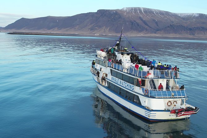 Whale-Watching Boat Tour with Expert Guide from Reykjavik - Choosing between the 2.5-hour express and 3.5-hour classic trips
