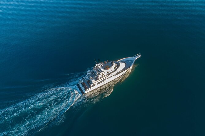 Whale Watching Cruise on a Yacht in Reykjavik - Faxaflói Bay is the real setting