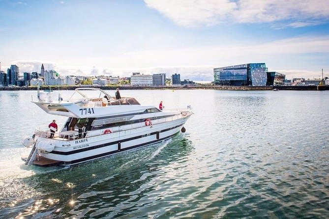 Whale Watching & Dolphin Yacht Cruise - Quick take: the details that matter most